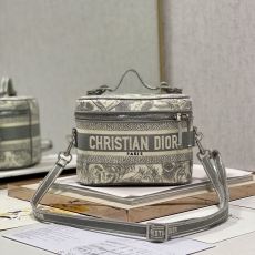 Christian Dior Cosmetic Bags